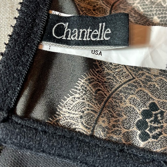 Chantelle 1937 Paris garter belt suspender belt size small beige black sexy lace - Picture 9 of 11